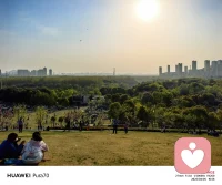 美好风景，治愈疲惫心灵。配图