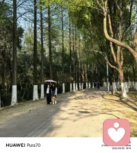 美好风景，治愈疲惫心灵。配图