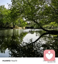 美好风景，治愈疲惫心灵。配图
