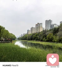 美好风景，治愈疲惫心灵。配图