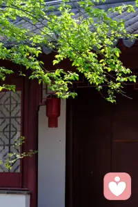 艾草驱烦，粽香安魂，端午安康！岁岁安康！愿这个假期少些思虑，多些松弛，接纳所有状态，平安舒心！配图
