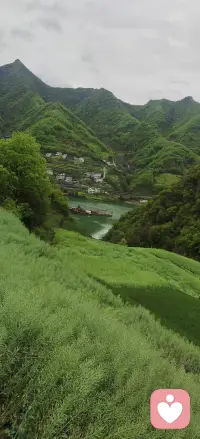 大家好～今天正式入驻给力心理啦✨
我是一名专业心理倾听师，擅长情绪疏导、压力缓解、情感内耗、失眠焦虑、人际关系困惑倾听陪伴。
 
生活里总有说不出口的委屈、没人懂的心事、压在心底的情绪，不用硬扛、不用假装坚强。
在这里可以放心倾诉，我会安静倾听、温柔共情，帮你梳理情绪、解开心里的结。
 
余生很贵，别和情绪内耗较劲，愿意的话，随时来找我聊聊～💛配图