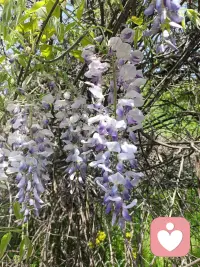 道理的尽头是大道至简，
事情的尽头是顺其自然
生活没有固定模式
每个阶段都有不同的风景
渡生活的难，享时光的暖，做喜欢的事
奔赴真实简单的快乐配图