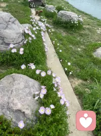 大家好像都在说，“欲买桂花同载酒，终不似，少年游。”好像每一个人都很怀念过去，可是诸君，还有一句话叫做，“莫道桑榆晚，为霞尚满天。”人生还很长，一程有一程的风景，二十岁没完成的事情三十岁去完成也没有关系，就算是朝花夕拾你觉得没有意义了，那也无所谓，人生于天地间若白驹过隙，忽然而已，所以岁月不待人及时当勉励，重在的是诗酒趁年华。幸福并非得到所有，而是享受当下拥有。配图