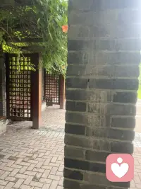 每一个生命的本能是生长和探索世界。[玫瑰]配图