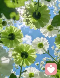 “当时我要是那样就好了……”听起来是不是很耳熟？
不少来访者就是这样困在过往遗憾里不停自我拉扯、反复内耗。
其实抛开事后清醒的上帝视角，在当时的处境、认知与心境之下，自己的确做出了最优选择。
所以，不要拿着如今成熟的眼界，去责怪当年手足无措的自己。坦然接纳过往，才能轻装前行。