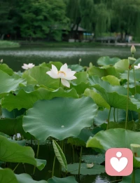 婚姻的真相，是一场 “爱上差异性” 的修行。
再好的亲密关系，也不会超越你和自己的关系。
成熟的感情要跳出融合思维，不再期待另一半填补缺憾、成全你的完整。
先安顿好自身情绪与内心，以两个独立完整的个体，相互陪伴、彼此支撑。