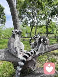吵架就删好友？原来藏着这种心理！

情侣吵架一气之下删掉对方微信，是很多人都做过的事。从心理学角度来看，这并不是单纯的“任性”：

1. 情绪隔离：短暂切断痛苦联结
当下争吵带来委屈、愤怒时，删除联系方式相当于主动建立心理屏障。眼不见、收不到消息，能快速隔绝负面情绪刺激，是大脑本能的情绪自救。

2. 被动索取关注：用行为表达诉求
语言沟通失效后，删除好友成了“无声的抗议”。潜台词是“我很生气，你要重视我的情绪”，本质是希望对方主动低头、安抚自己。

3. 权力博弈：争夺关系主导感
争吵中容易产生失控感，而“删除”这个动作，能短暂掌握关系里的主动权，缓解“被忽视、被压制”的不安。

⚠️ 小提醒：这种方式只能暂时发泄情绪，频繁使用会消耗彼此信任。情绪平复后，不妨试着用语言说出感受，远比冷战、断联更利于解决问题。配图