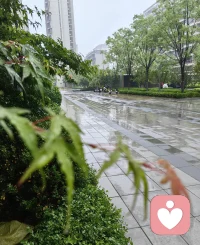 雨后天晴配图