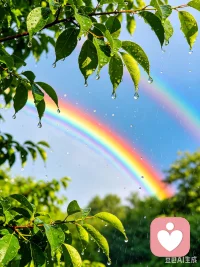 当时撑过低谷的契机是什么？哪一件小事成为了你人生里的第一道“彩虹”？