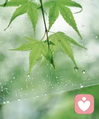淋过雨的人希望可以为你遮风挡雨！配图