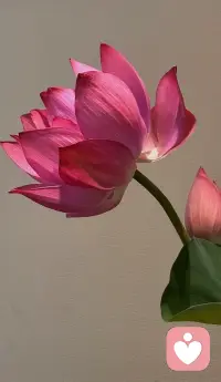 不一定每天都很好！
但每天都有一些小美好在等你……#小美好！配图