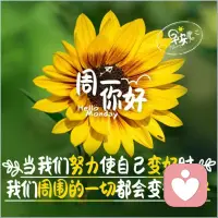 新的一周
新的一天
​让早餐
​调动我们的能量
​积极的心情