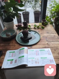 天有六气，地有五行，六气者，风、热、暑、湿、燥、寒，五行者，木、火、土、金、水。在天成象，在地成形，六气乃五行之魂，五行即六气之魄。人为天地之中气，秉天气而生六腑，秉地气而生五脏。六气五行，皆备于人身，内伤者，病于人气之偏，外感者，因天地之气偏，而人气感之。配图