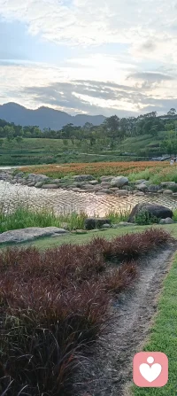试问谁能拒绝大自然的治愈
压力大时就去公园走走
慢下来赏花草，吹晚风
在一草一木间，找回轻松自在配图