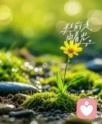 一个人为什么会情绪内耗？
人之所以频频陷入情绪内耗，不过是心思太细，想得太多。总反复纠结过往遗憾，过度揣测他人言行，遇事习惯性自我否定，还没行动就先预设糟糕结局。心里装了太多杂念，困在胡思乱想里自我拉扯，消耗心力困住自己，忘了坦然释怀，也忘了好好偏爱自己。配图