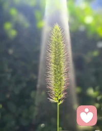 成年人最好的自愈方式
就是接纳普通的自己
接纳情绪，接纳遗憾，接纳慢慢来的一切配图