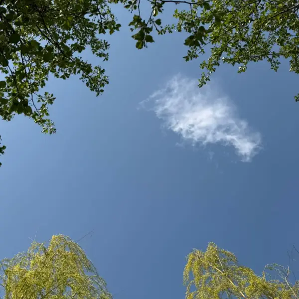 知夏