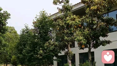 咨询实录｜儿媳吼我管的宽，凭啥她和我儿子的房子不能留她父母的房间？可这是我全款买的房子啊！