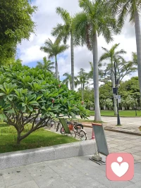 心理学界有一句名言：人类诸多悲剧产生的根源就在于对一段关系寄望过深。

这句话是什么意思呢？就是说很多悲剧之所以会发生，就在于我们把自己生活的希望甚至一生一世的幸福完全寄托在某一个人或某件事物上。

但这种“寄托的幸福”特别容易破碎或幻灭。一旦这种寄托关系崩塌，对我们来说就是灭顶之灾。

不管这种寄托关系是父母子女关系还是夫妻情侣关系，更或是工作事业关系。

一个人只要在一段关系上寄望太深，把精神支柱完全托付于这段关系时，那“可怕的悲剧”就容易发生。

所以一个人啊，在生活中在生命中都应该多建立几个支点，不要只把爱情当做唯一，不要只把孩子当唯一，不要只把事业当唯一。配图