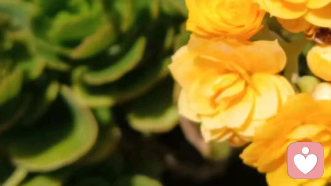 咨询实录|婚礼当天小姑子带娃睡我婚床,婆婆:房是我全款买的,睡一下怎么了?