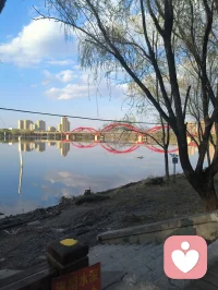 十五年的咨询经验告诉我：你越尝试去改变别人。别人越加反抗你，这形成了恶性循环。然后你们两个都感到更糟，因此试图改变他人，就犹如以头撞墙。