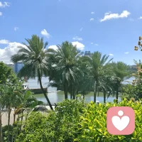 好的爱情是真正的相知相伴，爱着对方，但又保持着适当的距离。这样的爱情才会相处不累，沐浴在爱河中的两个人，两个世界相加应该是变得更广阔，而不是越来越狭窄。

连岳说过一段话，道出了成熟爱情的真相：爱情应该是加法，两个相爱的人，要比他们独立时更坚强，更有趣，自然也会有更多的快乐。

爱与婚姻都不能让女性减去独立，让男性减去智慧。好的爱情不是总想着改变对方，而应该把力气用在自身，让自己变得充实丰满，与众不同。


你身上散发的正能量才是最值得信赖的吸引力。

好的爱情是滋养，是灌溉，它让你成长，让你从一个人的孤单变成两个人的强大!不依附，不粘着，但心却在一起。

这样的爱情带来的是欢声笑语，乐观向上，当对方想到你时，嘴角就会忍不住上扬。

时光本无情，却因你而绵长，岁月虽艰辛，却因你而温柔。最成熟爱情的相处模式，莫过于和你在一起，时间总是不够用，而我也变成了最放松的自己。我们深情但不依赖，情至浓处，沉默亦是告白。配图