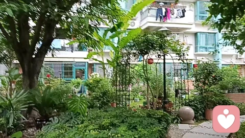 咨询实录|婆婆拿命孝顺偏心老太，却被当众泼油茶面！拆迁款分文不给，儿媳怒喊：这冤大头谁愿当谁当！