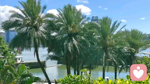 咨询实录|29岁女教师自述:因不愿分手对母亲放狠话,看清了原生家庭的真相!