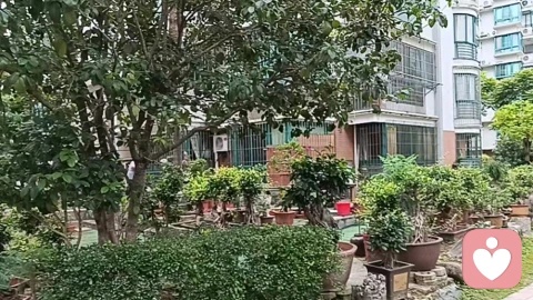 咨询实录|尽心照料五年,却换来一句“外姓人”,我拒接跳楼的父亲!