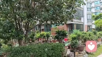 咨询实录｜尽心照料五年，却换来一句“外姓人”，我拒接跳楼的父亲！