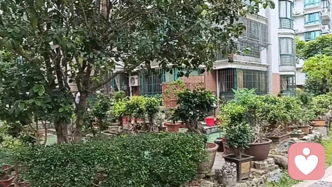 咨询实录|哥哥一家来杭住宿引争端,夫妻反目岳父参战,中年男人的崩溃瞬间!
