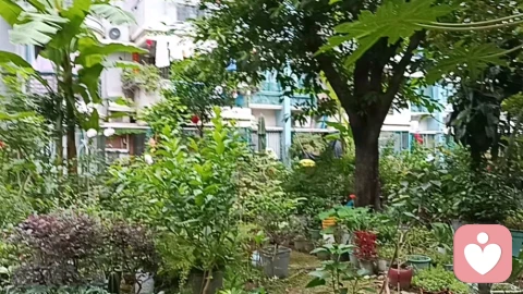 咨询实录|肺炎住院遭母抛弃,她卖房断供逼我走上传统婚育路!