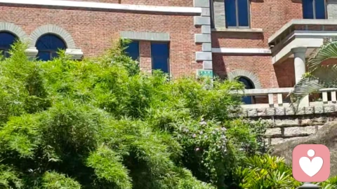 咨询实录|替母亲交完最后一笔“来自我的”住院费，我决定从原生家庭“退休”了！