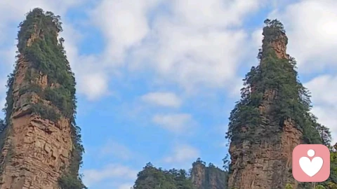 咨询实录｜两条腿的男人有的是：当“扶弟魔”遇上控制型婆婆，这段婚姻还剩什么？