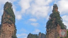 咨询实录｜两条腿的男人有的是：当“扶弟魔”遇上控制型婆婆，这段婚姻还剩什么？