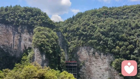 咨询实录｜侄女为救父捐肾，我一句无心话让她拔针逃离：重男轻女的家庭，别逼孩子太狠