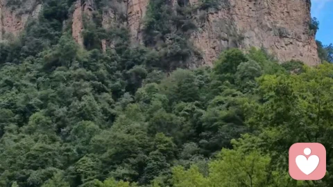 咨询手记|我忙到崩溃,我妈却跑去湖南旅游:她到底在怕什么?