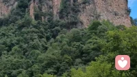 咨询手记｜我忙到崩溃，我妈却跑去湖南旅游：她到底在怕什么？
