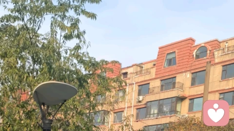 咨询实录|大姐执意救母,如今却骂瘫痪母亲“咋还不死”:我怒扇她一耳光,以后这日子可怎么过?