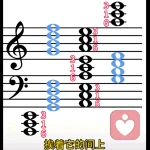 照灶倾听🐱的头像