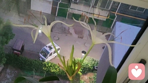 为什么成人不愿意承认心理咨询的有效性