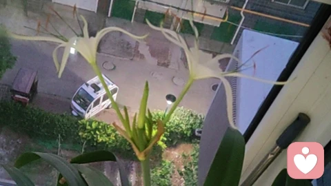 孩子的自私自利是怎样形成的