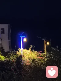 生活或许有太多的不如意，但请你相信，总有一个人，会穿越人海，来到你身边，告诉你：“你辛苦了，以后的路，我陪你走。”配图