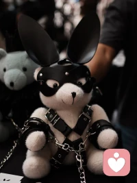 主人养了一条忠诚的狗狗，主人和狗……

今天脑子里突然跳出这个画面，有点感触。

在主人和狗的关系里，狗是绝对的臣服者。它不看你银行卡余额，不嫌你身材走样，只认你这一个主人。这种无条件的爱与交付，其实是很多人潜意识里渴望的终极安全感。配图