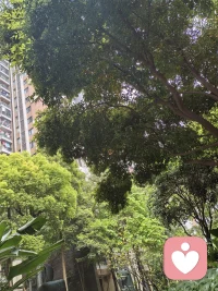 修复，不是认输

很多人不愿意低头修复，是因为觉得“认错就是示弱”。

但真正的修复，不是比谁嗓门大，也不是比谁更有理。

修复，是一种“看见”。

看见情绪：我知道你刚才哭，是因为你觉得我不重视你，而不是因为你真的想买那个包。

承担责任：我刚才说话太重了，让你难受了，这是我的错。

重建连接：哪怕只是睡前的一个拥抱，或者一杯递到手边的水。

修复，是强者的游戏。 因为只有内心足够强大的人，才敢承认自己的不足，才敢在那个当下，把自尊暂时放下，去托住另一个人的情绪。配图