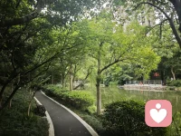 倾听自然的声音
慢慢找回自己
