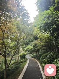 倾听自然的声音
慢慢找回自己