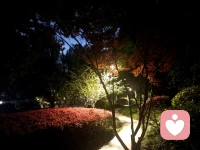 竹杖芒鞋轻胜马，谁怕。一蓑烟雨任平生。