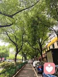 灵魂若失去共振，信使亦无法穿梭配图
